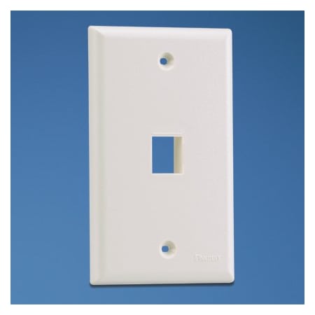 Panduit 1-Port, Single Gang, Flush Mount Face (10 Pack), 10PK NK1FNIG